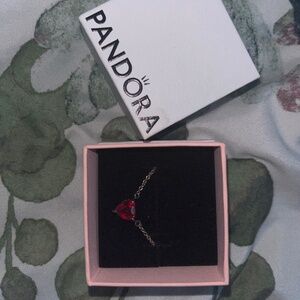 Pandora Necklace